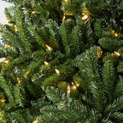Balsam Hill Traditional Colorado Green Pre-Lit Spruce, 6.5'-9'
