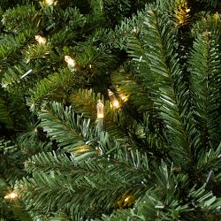 Balsam Hill Traditional Colorado Green Pre-Lit Spruce, 6.5'-9'