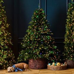 Balsam Hill Traditional Colorado Green Pre-Lit Spruce, 6.5'-9'