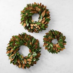 Magnolia Live Wreath &amp; Garland