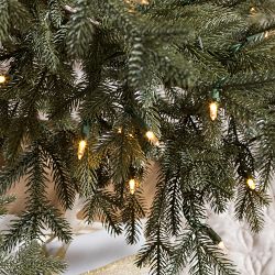 Balsam Hill Most Realistic Sugarland Pre-Lit Spruce Tree, 6.5'-9'