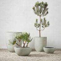 Garden & Planters image