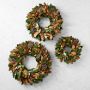 Magnolia Lantern Live Wreath &amp; Garland