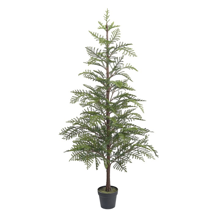 Faux Norfolk Pine Tree in Pot, 72"
