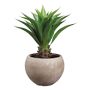 Faux Agave Plant in Clay Pot, 24"