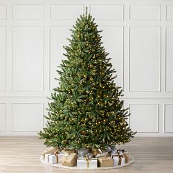 Balsam Hill Traditional Colorado Green Pre-Lit Spruce, 6.5', LED Clear