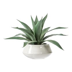 Faux Agave Plant in White Pot, 20.5"