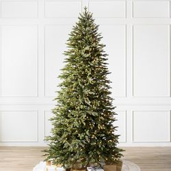 Balsam Hill Most Realistic Silverado Slim Pre-Lit Tree, 7', LED Clear