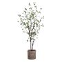 Faux Cornus Tree in Terracotta Planter, 6'
