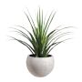 Faux Dracaena Cactus in Cement Planter, 53"
