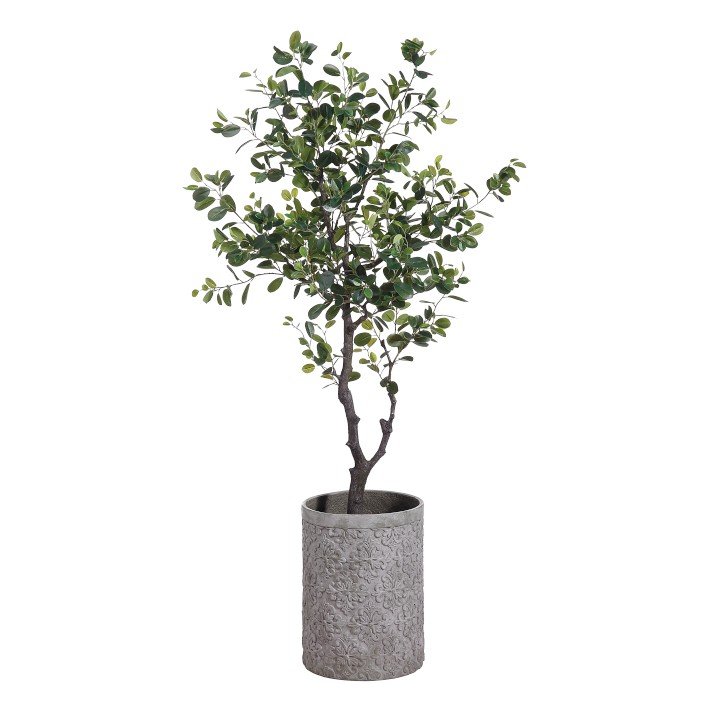 EVA Faux Ficus Tree in Cement Planter 6.5'