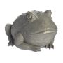 Garden Frog, 9.25"