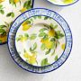 Lemon Outdoor Melamine Dinner Plates, Set of 4