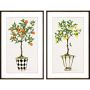 Fruit Topiary