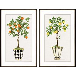Fruit Topiary