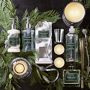 Williams Sonoma Winter Forest Hand Soap