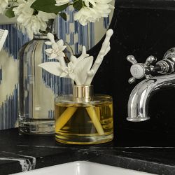 Home Fragrance Porcelain Diffuser, Citrus &amp; Sage