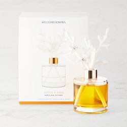 Home Fragrance Porcelain Diffuser Citrus and Sage