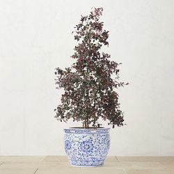 Alder &amp; Oak Chinese Fringe Flower Column, 30&quot;-36&quot;