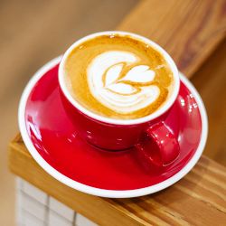Counter Culture Coffee Slow Motion Decaf Blend Coffee Beans
