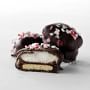 Williams Sonoma Peppermint Bark S'mores