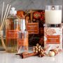 Williams Sonoma Pumpkin Spice Candle