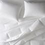 Down Alternative Duvet &amp; Pillow Insert