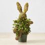 Potted Easter Bunny Ivy &amp; Moss Live Topiary, 16&quot;