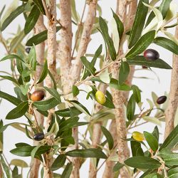 Faux Indoor Silk Olive Tree, 1,300 Leaves, 60&quot;