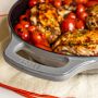 Lodge USA Enameled Cast Iron Skillet, 11&quot;