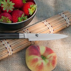 Apple - SHUN Quality Shun Knives for Every Kitchen | Williams Sonoma