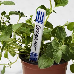 Blue &amp; White Ceramic Plant Markers