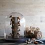 Oyster Mushroom Log Kit