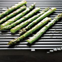 Breville Panini Grill&#8482; &amp; Press