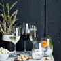Open Kitchen by Williams Sonoma Red Wine Glasses