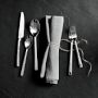 Lifetime Linea 20-Piece Flatware Set