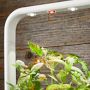 Click &amp; Grow Smart Garden System, 9-Pod, White