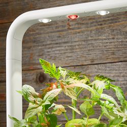 Click &amp; Grow Smart Garden System, 9-Pod, White