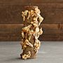 Oyster Mushroom Log Kit