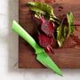 KAI for Williams Sonoma Paring Knife, 3 1/2&quot;