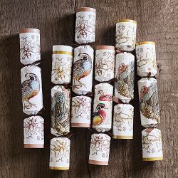 Plymouth Crackers, Set of 12