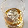 Novelty Ice Mould, set of 2, Skull