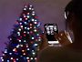 Video 2 for Balsam Hill Most Realistic Silverado Slim Pre-Lit Tree, 6'-9'