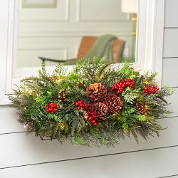 Outdoor Winter Evergreen Window Box