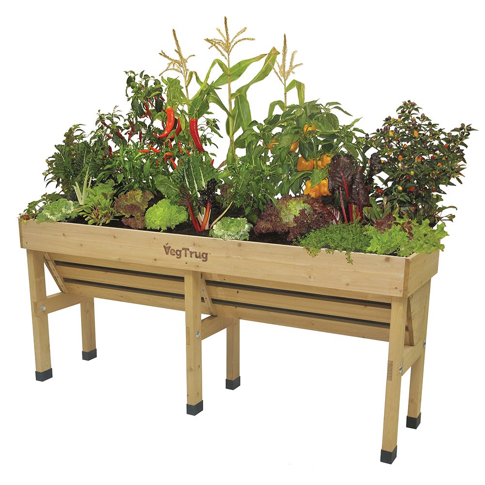 Vegtrug Wallhugger, Medium