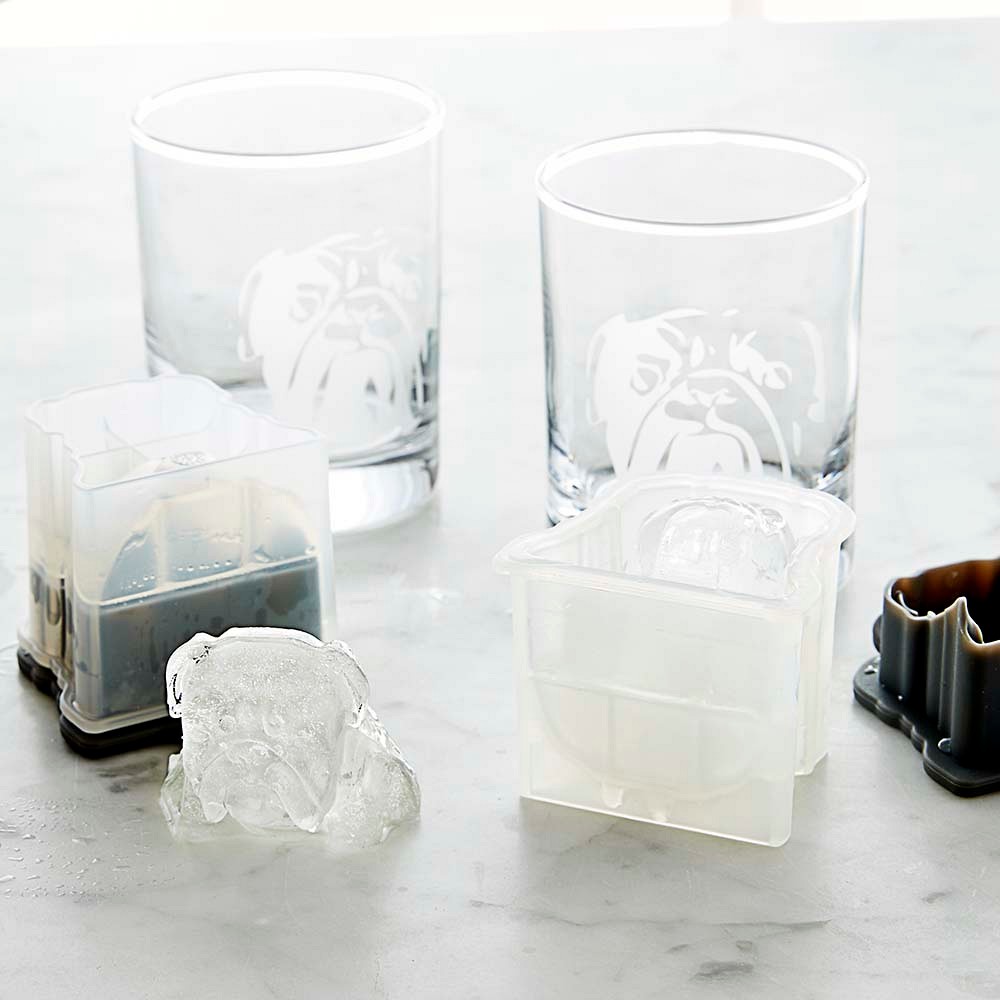 Bulldog Etched Glass & Ice Mould Set