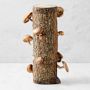 Shiitake Mushroom Log Kit