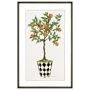 Fruit Topiary