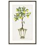 Fruit Topiary