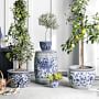 Blue &amp; White Ceramic Planter Collection